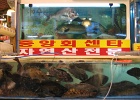 Noryangjin Fish Market-12